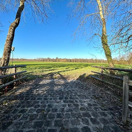 Chatillon-la-BordeLe Domaine De Brieアパートメント エクステリア 写真