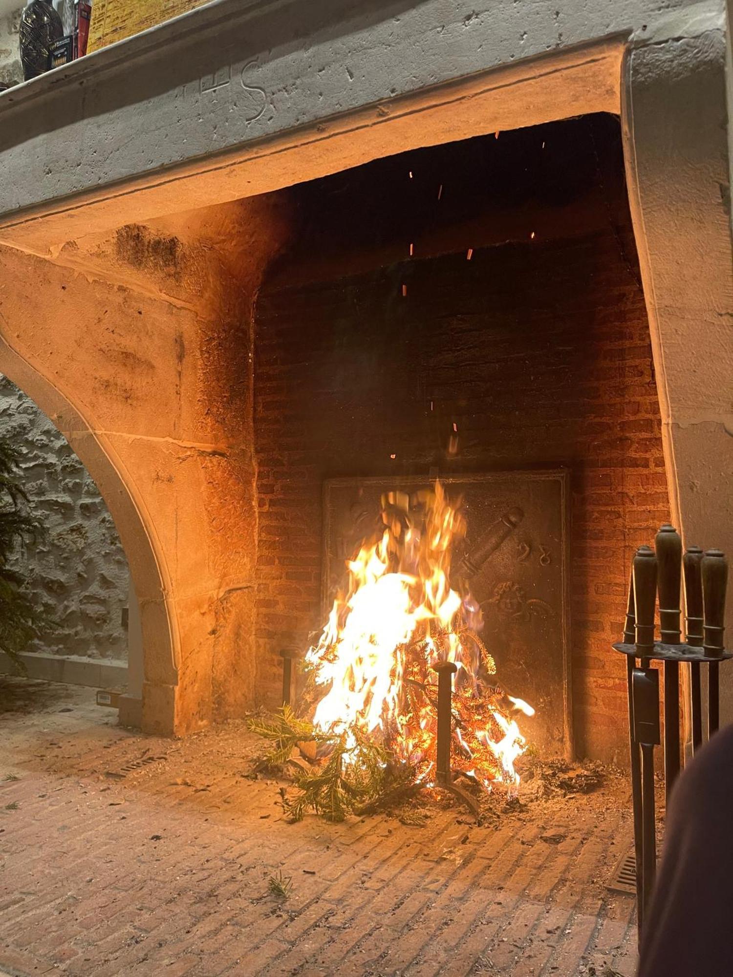 Chatillon-la-BordeLe Domaine De Brieアパートメント エクステリア 写真