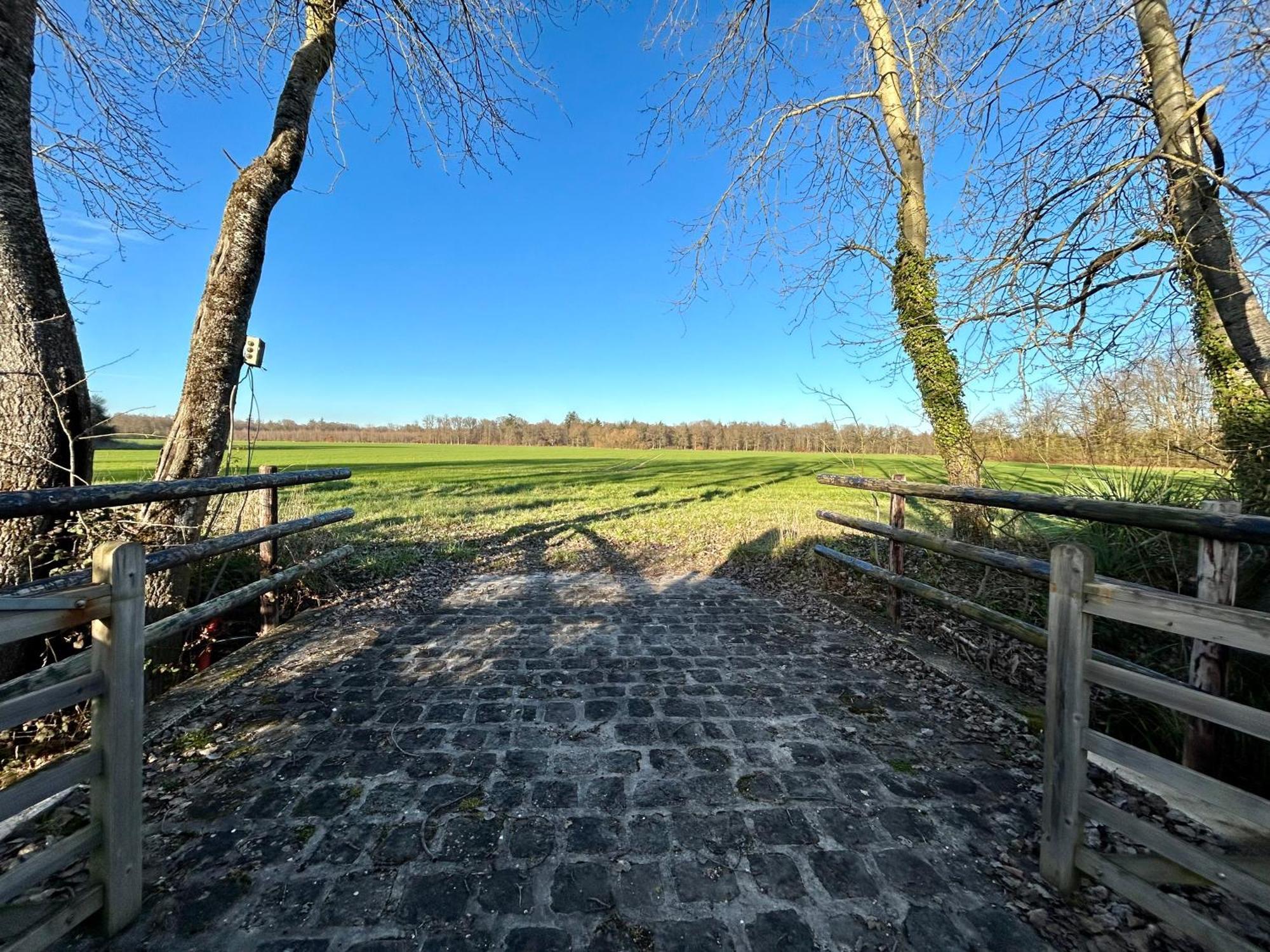 Chatillon-la-BordeLe Domaine De Brieアパートメント エクステリア 写真