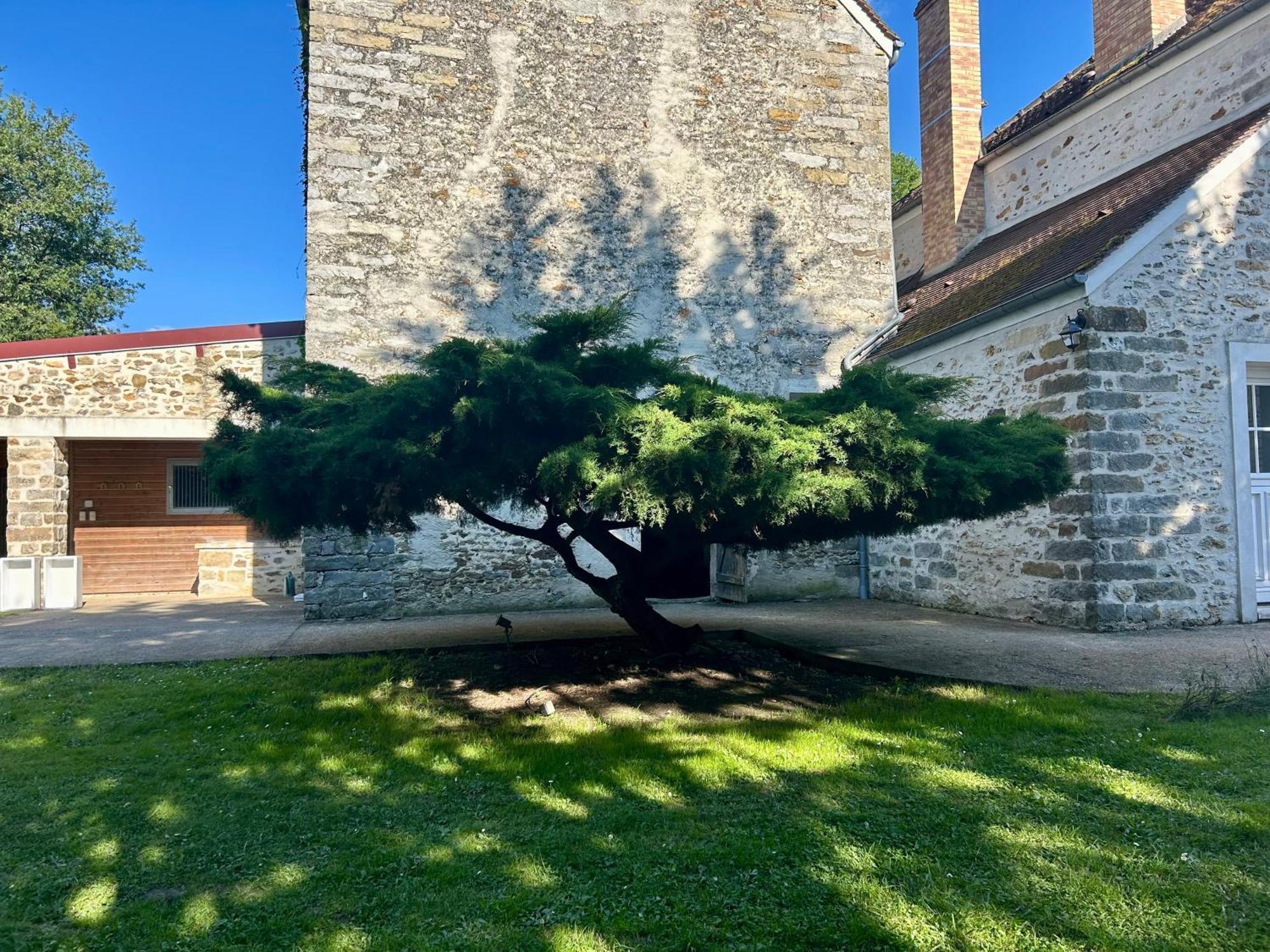 Chatillon-la-BordeLe Domaine De Brieアパートメント エクステリア 写真